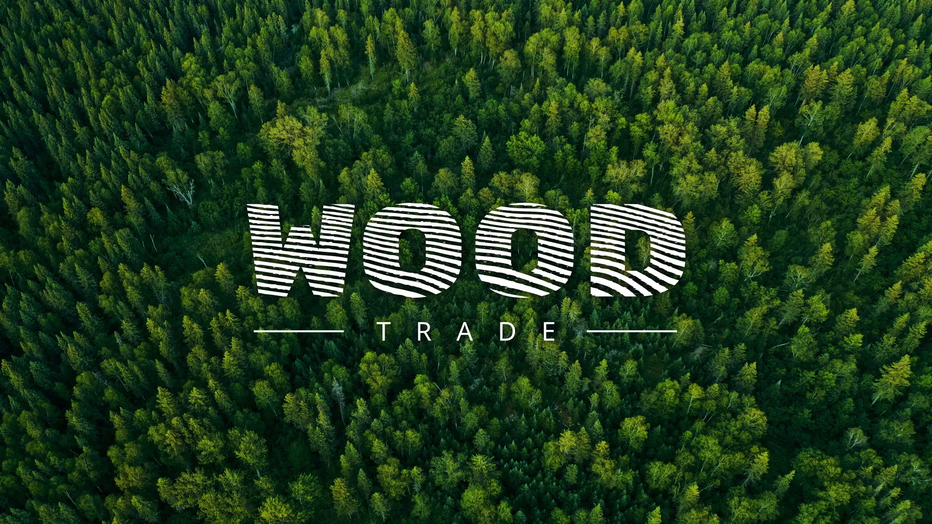 Разработка интернет-магазина компании «Wood Trade» в Талдоме