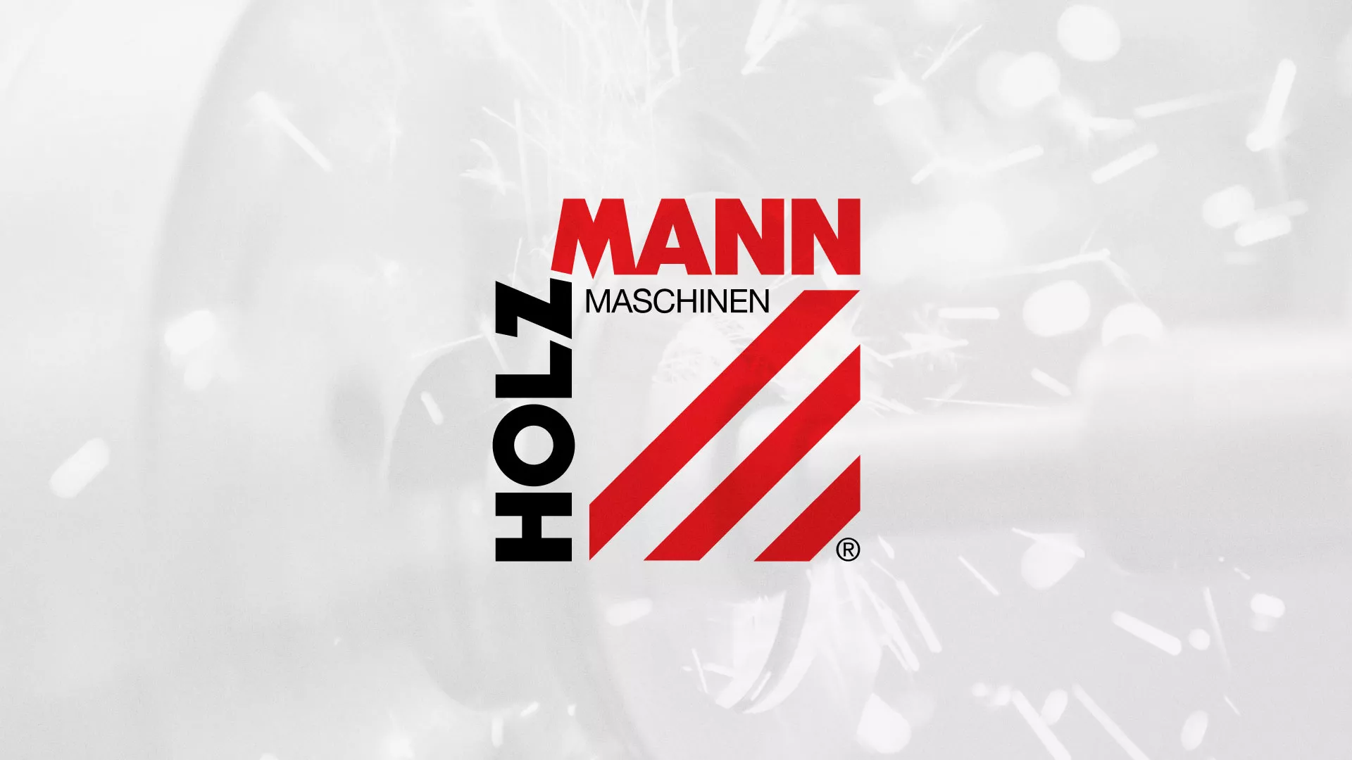 Создание сайта компании «HOLZMANN Maschinen GmbH» в Талдоме